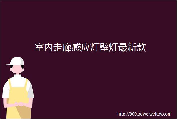 室内走廊感应灯壁灯最新款